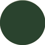 Vestidos de dama de honor Verde oscuro Asequibles